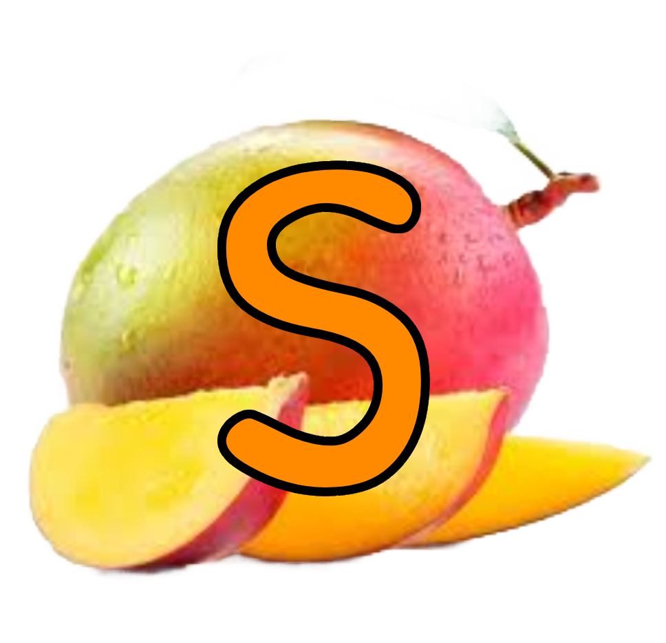 Synapse